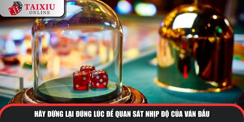 Hãy dừng lại đúng lúc để quan sát nhịp độ của ván đấu
