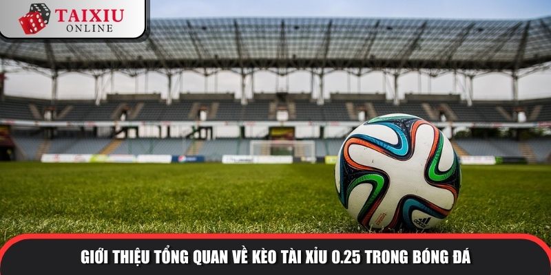 Giới thiệu tổng quan về kèo tài xỉu 0.25 trong bóng đá