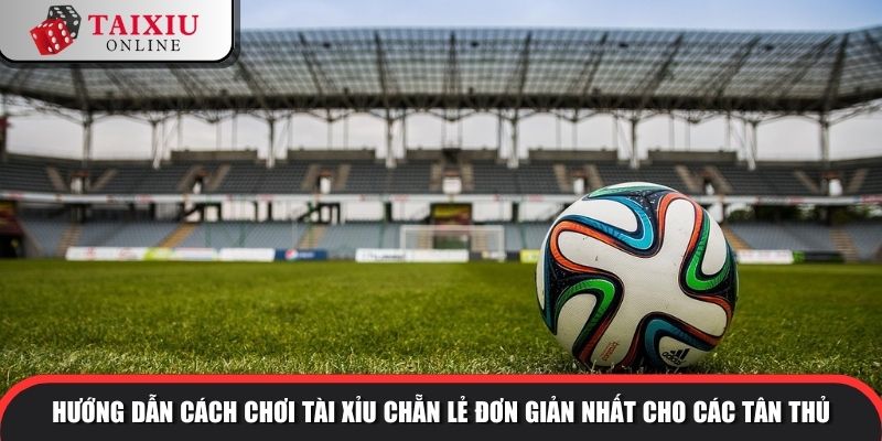 Hướng dẫn cách chơi tài xỉu chẵn lẻ đơn giản nhất cho các tân thủ