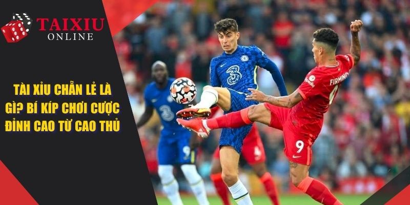 Tài Xỉu Chẵn Lẻ Là Gì? Bí Kíp Chơi Cược Đỉnh Cao Từ Cao Thủ